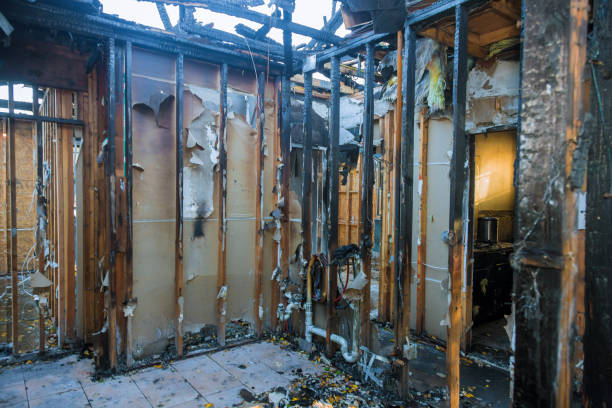 Professional Structural Rebuild technician working in Pease, MN